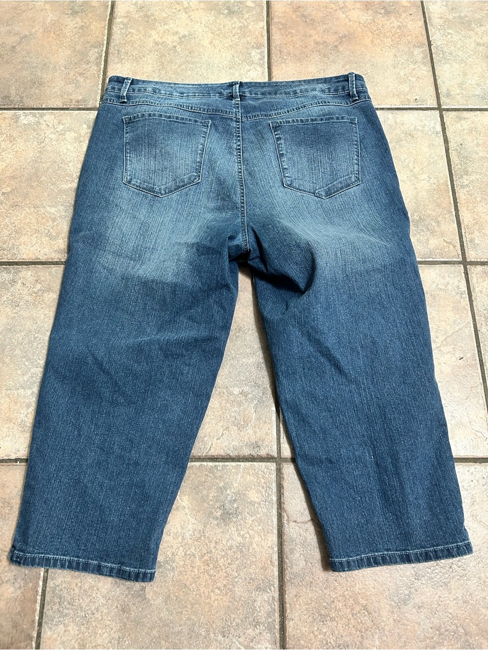 Gloria Vanderbilt Blue Cropped Jeans with Embroidered Side Panels - Picture 4 of 4